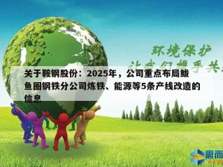 关于鞍钢股份：2025年，公司重点布局鲅鱼圈钢铁分公司炼铁、能源等5条产线改造的信息