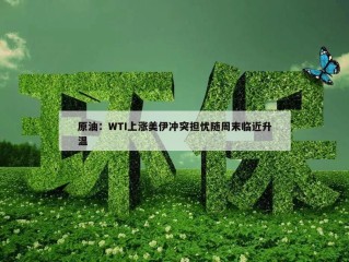 原油：WTI上涨美伊冲突担忧随周末临近升温
