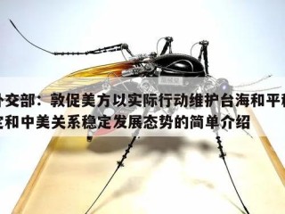 外交部：敦促美方以实际行动维护台海和平稳定和中美关系稳定发展态势的简单介绍