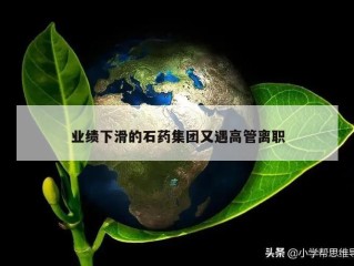 业绩下滑的石药集团又遇高管离职