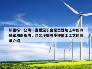 新坐标：公司一直根深于金属塑性加工中的冷精密成形板块，包含冷锻等多种加工工艺的简单介绍