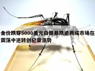 金价跌穿5000美元白银暴跌逾两成市场在震荡中逆转创纪录涨势